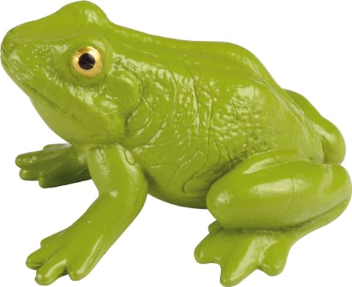 EDUPLAY Lebenszyklen Frosch von EDUPLAY