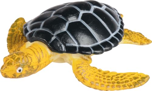 EDUPLAY Lebenszyklen Meeresschildkröte EDUPLAY Lebenszyklen Meeresschildkröte von EDUPLAY