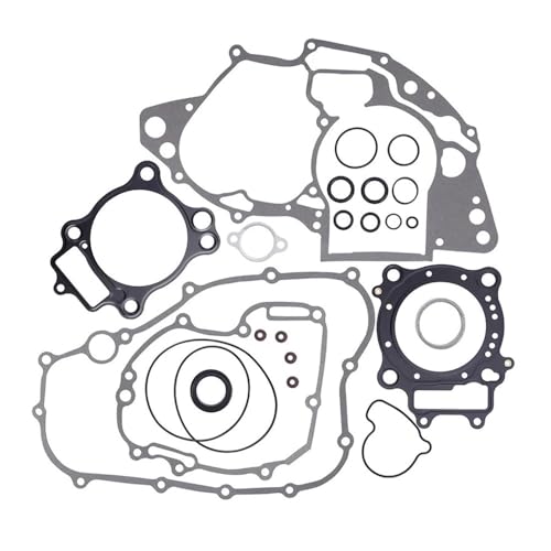 EGRMZ Kompatibel mit 250R 2004-2009 250X 2004-2017 250 RX-Modellen Kompletter Motorzylinderdichtungssatz von EGRMZ