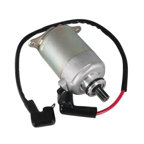 EGRMZ Kompatibel mit ATV 125 180 RS 125 RSII 180 31200-119-000 31200119-000 Motorrad Elektrischer Anlassermotor von EGRMZ