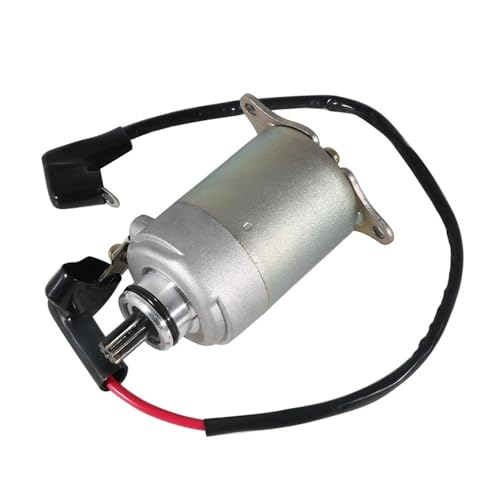 EGRMZ Kompatibel mit ATV 125 180 RS RSII 180 OEM 31200-119-000 31200119-000 Motorrad-Startermotor von EGRMZ