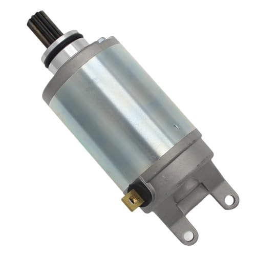 EGRMZ Kompatibel mit GSF250 NZM P NP ZP R NR VS S GSX250 RCH H GSXR250 CJ31100-11D00-000 Motorrad-Elektrostarter von EGRMZ