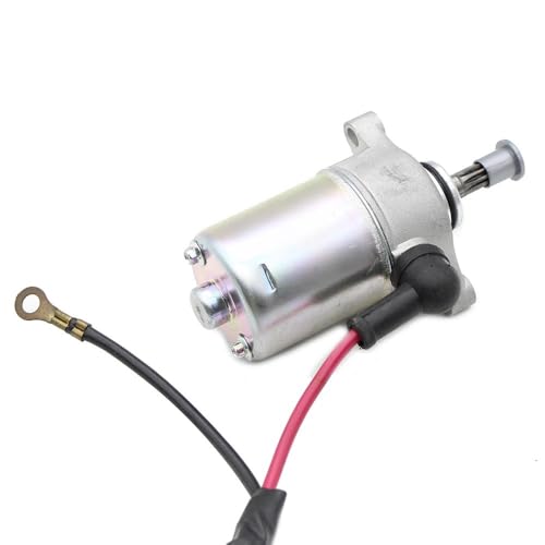 EGRMZ Kompatibel mit Modellen 1B9-H1800-00 3B3-H1800-00 VP125 XF50 C3 XF50 XC50 YP125R Motorrad-Startermotor von EGRMZ