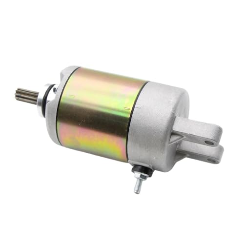 EGRMZ Kompatibel mit VP250 VP300 YP400 400 4714800182 R19040191A0 94800100 Motorrad Starter Motor Elektrische von EGRMZ