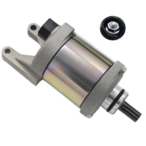 EGRMZ Kompatibel mit YS250 FAZER250 2012 XTZ250 44C-H1890-10 Elektrischer Anlassermotor Compatible with Motorrad von EGRMZ