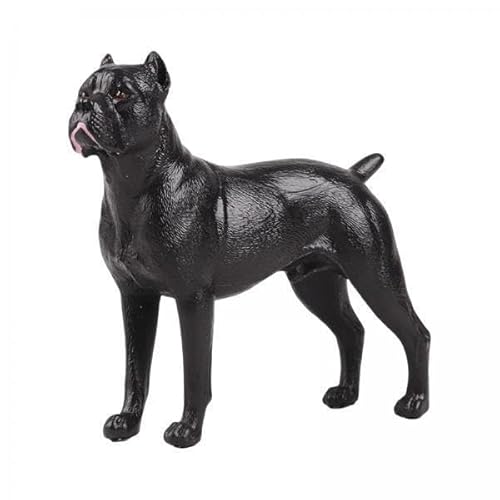 EHJRE 6X Realistische Hundefiguren Modelle, Frühes Lernspielzeug, Haustier Tierspielzeug, Actionfigur für Partygeschenke, Kuchendekoration, Desktop Ornament EHJRE 6X Realistische Hundefiguren Modelle, Frühes Lernspielzeug, Haustier Tierspielzeug, Actionfigur für Partygeschenke, Kuchendekoration, Desktop Ornament von EHJRE
