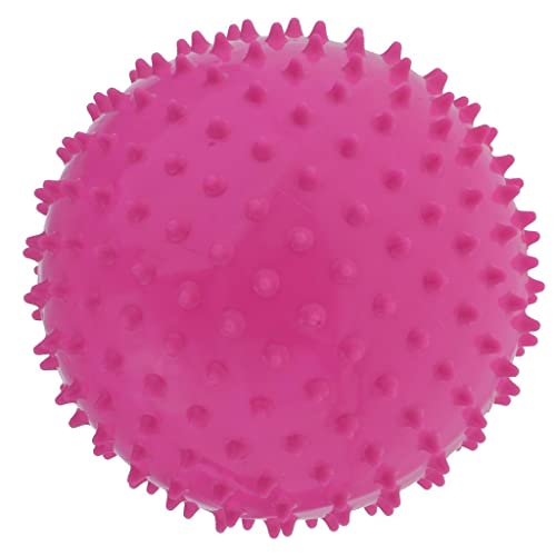 EHJRE 9 Zoll Kinder Knorriger Hüpfball Stacheliger Sensorischer Ball für Massage, Rosa von EHJRE