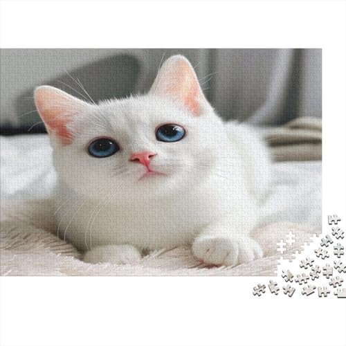 Cute Blue Eyed Kat Puzzle 1000 Teile Puzzle Für Erwachsene Und Kinder Ab 14 Jahren Puzzel 1000pcs (75x50cm) von EKZLQJWPN