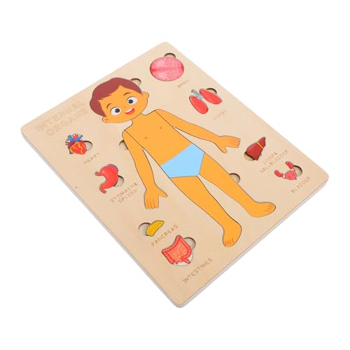 ELAYARD 1 Set Holzpuzzle Für Den Menschlichen Körper Für Kleinkinder, Montessori-anatomiespielzeug, Frühes Mint-lernpuzzle Mit Inneren Organen, Englisch (junge) von ELAYARD