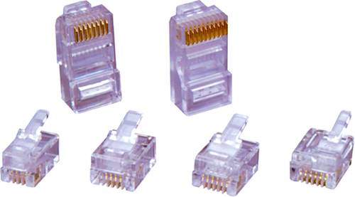 Encitech RJ48-10P10CR RJ45-Steckverbinder 6510-0104-05 Stecker, gerade Polzahl 10P10C Transparent von ENCITECH