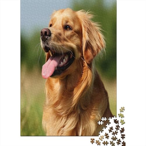 Golden Retriever Puzzle 1000 Teile Puzzle Für Erwachsene Und Kinder Ab 14 Jahren Puzzel 1000pcs (75x50cm) von EOADVBZGR