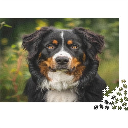 Springer Spaniel 1000 Stück Puzzles Für Erwachsene Teenager Stress Abbauen Familien-Puzzlespiel 1000-teiliges Puzzle Kinder Lernspiel Spielzeug Geschenk Puzzel 1000pcs (75x50cm) von EOADVBZGR