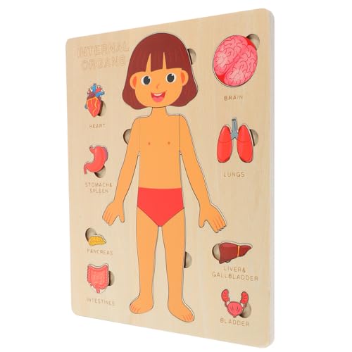 ERINGOGO 1 Set Struktur Puzzle Für Den Menschlichen Körper Für Puzzles Werkzeuge Für Kindheitslehre Anatomie Modell Menschliche Organe Puzzle Menschlicher Körper Puzzle Für von ERINGOGO