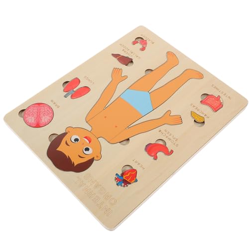 ERINGOGO 1 Set Strukturpuzzle Für Den Menschlichen Körper Kinderpuzzles Kinderspielzeug Werkzeuge Für B Kinderwerkzeuge Kinderpuzzles Frühes Lernspielzeug Lehrmittel Vorschul von ERINGOGO