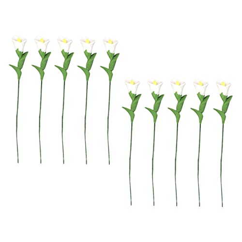 ERINGOGO 10 Stück Maßstab Realistische Kleine Blumen Dekoration für Puppenhaus Micro Szene Deko Elegante und Kompakte Spielhaus Blüten Modelle ERINGOGO 10 Stück Maßstab Realistische Kleine Blumen Dekoration für Puppenhaus Micro Szene Deko Elegante und Kompakte Spielhaus Blüten Modelle von ERINGOGO