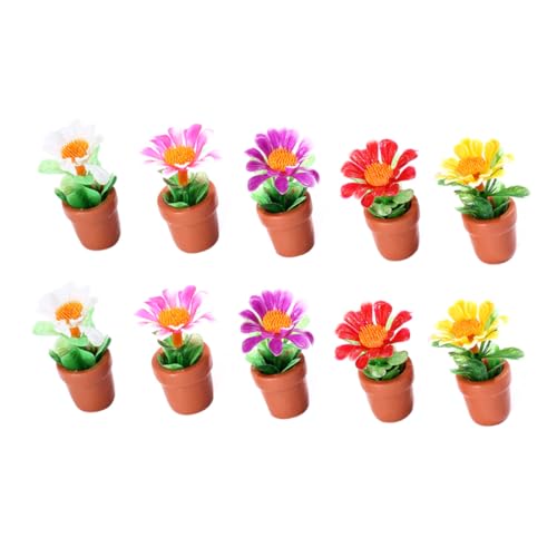 ERINGOGO 10 Stück Teiliges Miniatur Bonsai Realistische Kleine Kunstpflanzen aus Langlebigem Harz Leichte Miniatur Topfpflanzen für Mikro landschaften Sandtisch dekor und Wohnaccessoires ERINGOGO 10 Stück Teiliges Miniatur Bonsai Realistische Kleine Kunstpflanzen aus Langlebigem Harz Leichte Miniatur Topfpflanzen für Mikro landschaften Sandtisch dekor und Wohnaccessoires von ERINGOGO