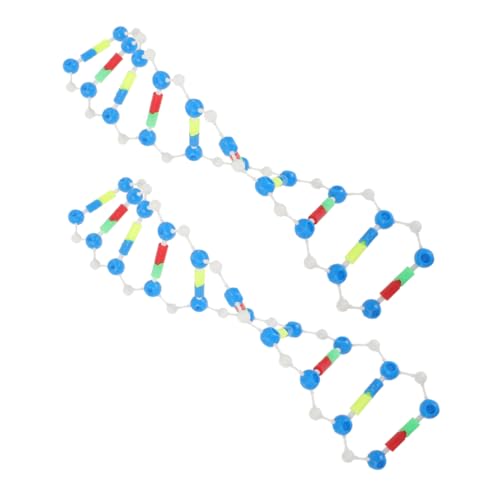 ERINGOGO 2 Stück DNA Modellmodelle DNA Doppelhelix Modell DNA Lehrmodell Molekularmodell Kit Gene Lernspielzeug Vorfahren DNA Kit Molekularstrukturmodell Kit DNA Lernkit Kunststoff von ERINGOGO