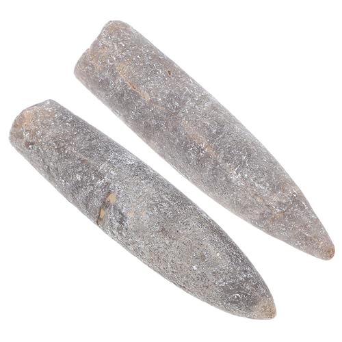 ERINGOGO 2 Stück Teiliges Natürliche Epifaunale Fossilien für Paläontologie Unterricht Sammler Dekoration Authentische Urzeitliche Fossilien ERINGOGO 2 Stück Teiliges Natürliche Epifaunale Fossilien für Paläontologie Unterricht Sammler Dekoration Authentische Urzeitliche Fossilien von ERINGOGO