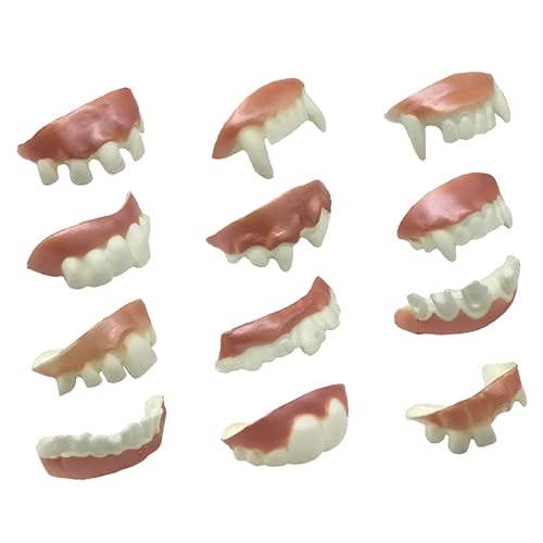 ERINGOGO 24St Prothesenmodell gefälscht Streich Fake zähne Fake Teeth Fasching Accessoires Faschingszubehör Accessoires Fasching künstliche Zähne Party-Cosplay-Requisiten Weiß von ERINGOGO