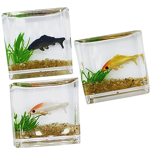 ERINGOGO 3pcs Mini Glas Aquarien Modell Für Puppenhaus 1:12 Miniatur Wohnkultur Spielzeug Zufällige Farbe von ERINGOGO