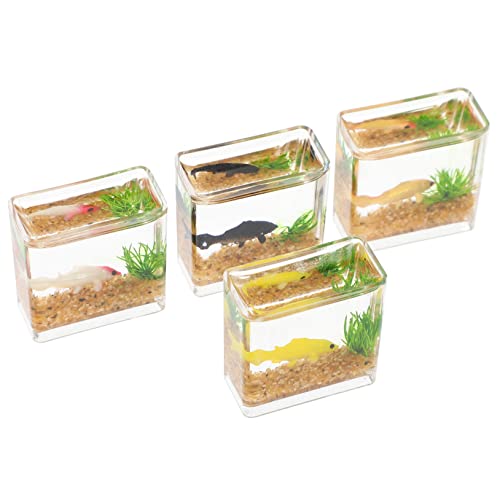 ERINGOGO 4 Stück Puppenhaus Bücher Winzige Fischbecken Miniatur-Handwerk Küchentisch Mittelstücke Mini-hausaquarium Aquarium Und Mini-fischdekor Simulations-Aquarium-Modell Plastik von ERINGOGO