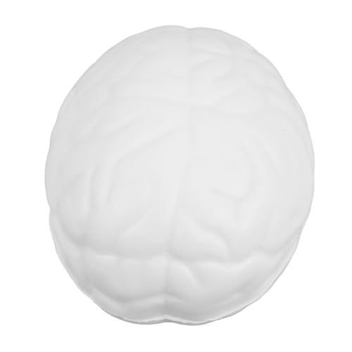 ERINGOGO Gehirndruckball Stressbälle Anti Stress Stressball Lustiger Ball In Gehirnform Dehnbarer Matschiger Stressball Stressabbau Stress Matschig Weiß von ERINGOGO