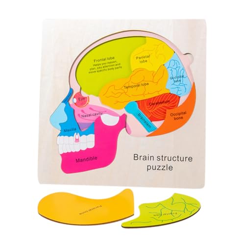 ERINGOGO Holzpuzzle Gehirnstruktur Lernspielzeug Montessori Kognitives Puzzle Mehrlagig Motorische Fähigkeiten für Jungen Mädchen Ab Jahren ERINGOGO Holzpuzzle Gehirnstruktur Lernspielzeug Montessori Kognitives Puzzle Mehrlagig Motorische Fähigkeiten für Jungen Mädchen Ab Jahren von ERINGOGO