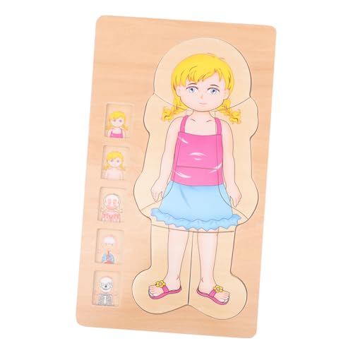 ERINGOGO Holzpuzzle Körperstruktur Lernspielzeug aus Mehrschichtiges Montessori Puzzle für Jungen und Mädchen zur Frühkindlichen Bildung Hand Auge koordination ERINGOGO Holzpuzzle Körperstruktur Lernspielzeug aus Mehrschichtiges Montessori Puzzle für Jungen und Mädchen zur Frühkindlichen Bildung Hand Auge koordination von ERINGOGO