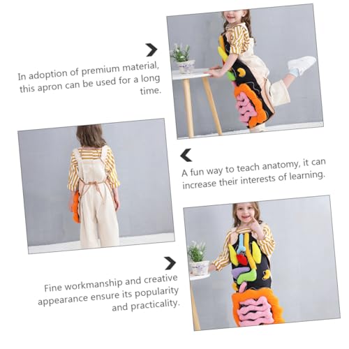 ERINGOGO Lernspielzeug Innere Organe Schürze Modell Für Kindergarten Eltern Junge Mädchen Spiel Montessori Pädagogisches Werkzeug ERINGOGO Lernspielzeug Innere Organe Schürze Modell Für Kindergarten Eltern Junge Mädchen Spiel Montessori Pädagogisches Werkzeug von ERINGOGO