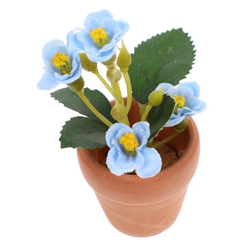 ERINGOGO Miniatur Bonsai Pflanze Miniatur Sukkulenten Deko für Puppenhaus und Mini Haus Zubehör Realistisch Gestaltete Mini Topfpflanze Modernes Design für Innenbereich und Innendeko ERINGOGO Miniatur Bonsai Pflanze Miniatur Sukkulenten Deko für Puppenhaus und Mini Haus Zubehör Realistisch Gestaltete Mini Topfpflanze Modernes Design für Innenbereich und Innendeko von ERINGOGO