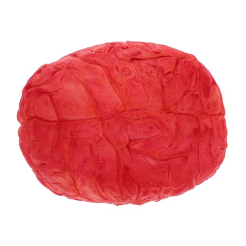ERINGOGO Realistisches Halloween Deko Gehirn Fake Body Parts Gruselige Horror Requisite für Halloween Party Spukhaus Deko und Kostüm Zubehör in Dunkelrot ERINGOGO Realistisches Halloween Deko Gehirn Fake Body Parts Gruselige Horror Requisite für Halloween Party Spukhaus Deko und Kostüm Zubehör in Dunkelrot von ERINGOGO