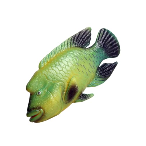 ERINGOGO Realistisches Humphead Wrasse Fischmodell aus Kunststoff Lebensechte Simulation Meeresbewohner Pädagogisches Fischornament zur Aquarium und Wohnraumdekoration ERINGOGO Realistisches Humphead Wrasse Fischmodell aus Kunststoff Lebensechte Simulation Meeresbewohner Pädagogisches Fischornament zur Aquarium und Wohnraumdekoration von ERINGOGO