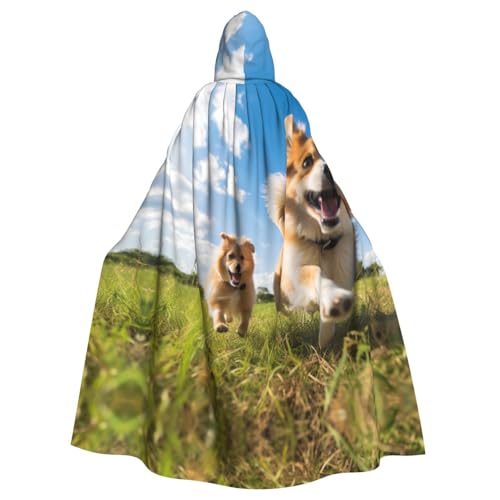 ERSDWRE Halloween-Umhang mit lustigem Hunde-Aufdruck, für Männer und Frauen, Kapuzenumhang für Mittelalter-Umhang, Kostüme, Cosplay ERSDWRE Halloween-Umhang mit lustigem Hunde-Aufdruck, für Männer und Frauen, Kapuzenumhang für Mittelalter-Umhang, Kostüme, Cosplay von ERSDWRE