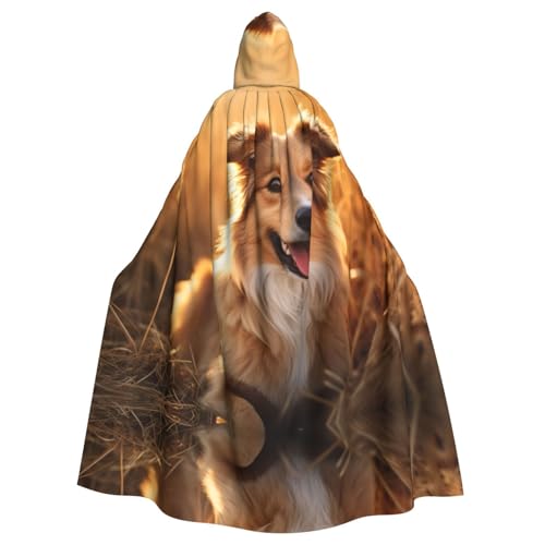 ERSDWRE Kapuzenumhang mit süßem Welpen-Hunde-Aufdruck, Halloween-Kapuzenumhang für Männer und Frauen, für Mittelalter-Umhang, Kostüme, Cosplay ERSDWRE Kapuzenumhang mit süßem Welpen-Hunde-Aufdruck, Halloween-Kapuzenumhang für Männer und Frauen, für Mittelalter-Umhang, Kostüme, Cosplay von ERSDWRE