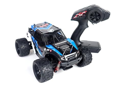 ES-Toys RC Elektro Buggy 1:18 mit 2,4Ghz, 40 km/h, Allradantrieb - LiIon - Thunder 312" (Blau) von ES-TOYS