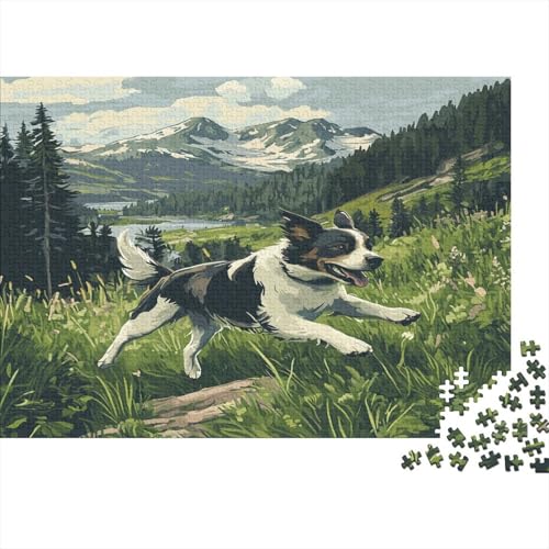 Border Collie Puzzle 1000 Teile Puzzle Für Erwachsene Und Kinder Ab 14 Jahren Puzzel 1000pcs (75x50cm) von ESPLJQRYX