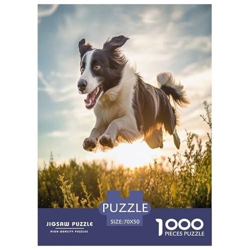 Der Border Collie Puzzle 1000 Teile Schwer Puzzle Spielzeug Pädagogisches Spiel Impossible Herausforderungsspielzeug Für Erwachsene Und Kinder Ab 12 Jahren 70x50cm/1000pcs Der Border Collie Puzzle 1000 Teile Schwer Puzzle Spielzeug Pädagogisches Spiel Impossible Herausforderungsspielzeug Für Erwachsene Und Kinder Ab 12 Jahren 70x50cm/1000pcs von ESPLJQRYX