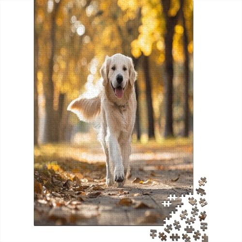 Golden Retriever Puzzlespiel 1000 Teile Puzzles Für Erwachsene Lernspiel Herausforderung Spielzeug 1000 Teile Puzzles Für Erwachsene Kinder Erwachsenen Puzzlespiel Puzzel 1000pcs (75x50cm) von EVMILA