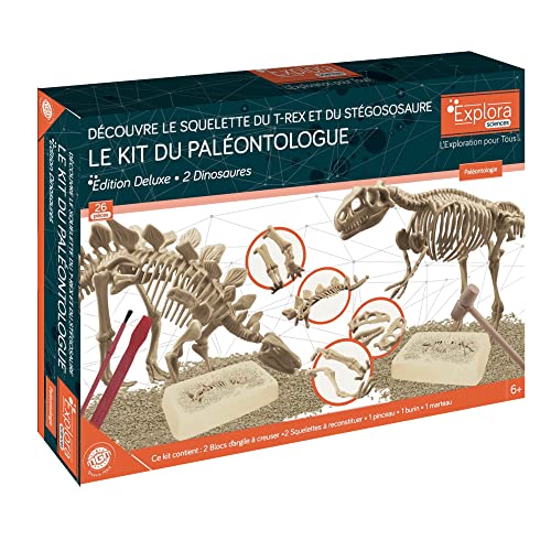 EXPLORA - 2 Dinosaurier-Skelette - Paläontologen-Set - 039402 - Ausgrabungs-Gips - Entdeckungs-Set - Kinderspiel - Wissenschaftlich - Abenteuer - Spaß - Fossilien - Ab 6 Jahren von EXPLORA SCIENCES