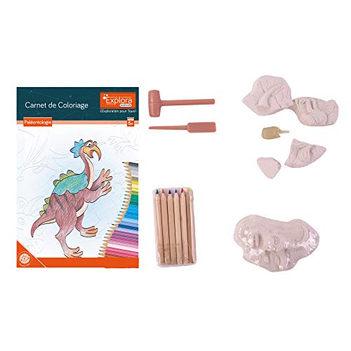 EXPLORA - Dinosaurier und Malbuch - Paläontologen-Kit - 039398 - Gips zum Ausgraben - Entdeckungs-Kit - Spiel für Kinder - Wissenschaftler - Bildung - Abenteuer - Spielzeug - Ab 5 Jahren von EXPLORA SCIENCES