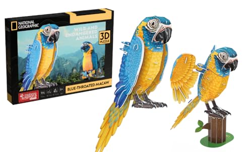 EXPLORA - Papagei - 3D-Puzzles - 540212 - 94 Teile - Tiere - Level 4 - Ohne Kleber oder Schere - Vogel - Bau - National Geographic Lizenz - Bauspiel - Ab 8 Jahren von EXPLORA