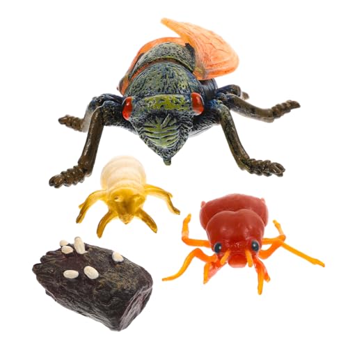 EXQUIMEUBLE Realistisches Zikaden Modell Pädagogisches Lernspielzeug für Naturgetreue Insekten Dekoration Kreativität und Naturerfahrung im Schulunterricht EXQUIMEUBLE Realistisches Zikaden Modell Pädagogisches Lernspielzeug für Naturgetreue Insekten Dekoration Kreativität und Naturerfahrung im Schulunterricht von EXQUIMEUBLE