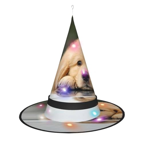 EZDLOWVBA Hexenhut mit lustigem Hund, Welpen-Druck, Halloween, beleuchteter Hexenhut, LED-beleuchteter Hexenhut mit 3 Beleuchtungsmodi, Innen- und Außenbereich, Garten, Terrasse, Party-Dekoration von EZDLOWVBA