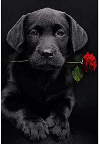 1000 stück Erwachsene Puzzle Schwarz Labrador Beißt eine Rose Kinder Freizeit Unterhaltung Spielzeug DIY Puzzle 52x38CM von EZMLFA