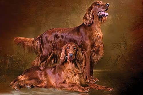 1000-teiliges Puzzle für Erwachsene, Irish Setter, Gehirn-Challenge-Puzzle für Kinder, Lernspiele, Kinder-Lernspiel, Spielzeug, Geschenk für zu Hause und unterwegs, 38 x 26 cm von EZMLFA