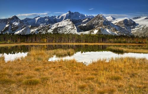 1000-teiliges Puzzle für Erwachsene | Landschaftspuzzle für Erwachsene 1000, Wald, Schnee, Bäume, Berge 38 x 26 cm von EZMLFA