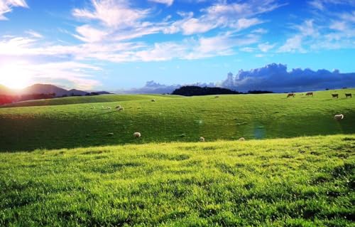 Niedliches Puzzle mit 1000 Teilen – jedes Stück ist einzigartig – lustiges und anregendes Spiel für Erwachsene mit der Familie, Feld 38 x 26 cm von EZMLFA