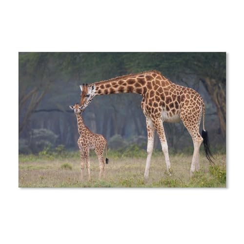 Puzzle 1000 Teile, Bild zusammensetzen, Giraffe, Spiele für Erwachsene, Lernspielzeug, 38 x 52 cm, 38 x 26 cm von EZMLFA