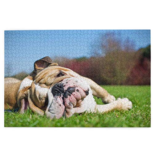 Puzzle 1000 Teile Englische Bulldoggen Müde Hunde Rasenhaustiere Englisches Puzzlespielzeug Familienspiel Wanddekoration für Erwachsene Teenager 52x38CM von EZMLFA