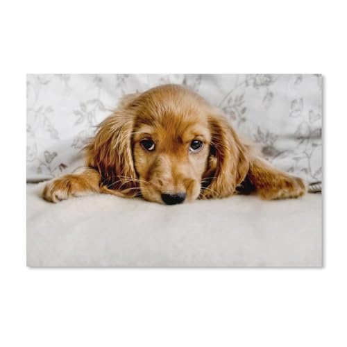 Puzzle 1000 Teile für Erwachsene, süßer Cocker-Spaniel-Welpe, Puzzlespiel für Kinder und Jugendliche, große Familien, 38 x 52 cm, 70 x 50 cm von EZMLFA